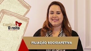 Explica Direito Filiação Socioafetiva  2019 [upl. by Ardnola]