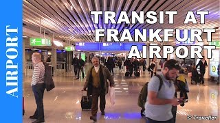 TRANSIT WALK AT FRANKFURT Airport FRA Terminal 1  Connection Flight Transfer Arriving amp Departing [upl. by Evilc]